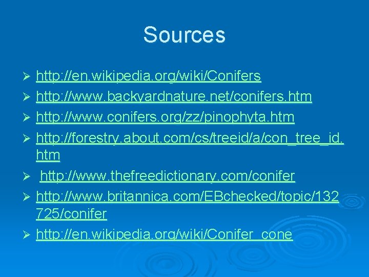 Sources http: //en. wikipedia. org/wiki/Conifers Ø http: //www. backyardnature. net/conifers. htm Ø http: //www.