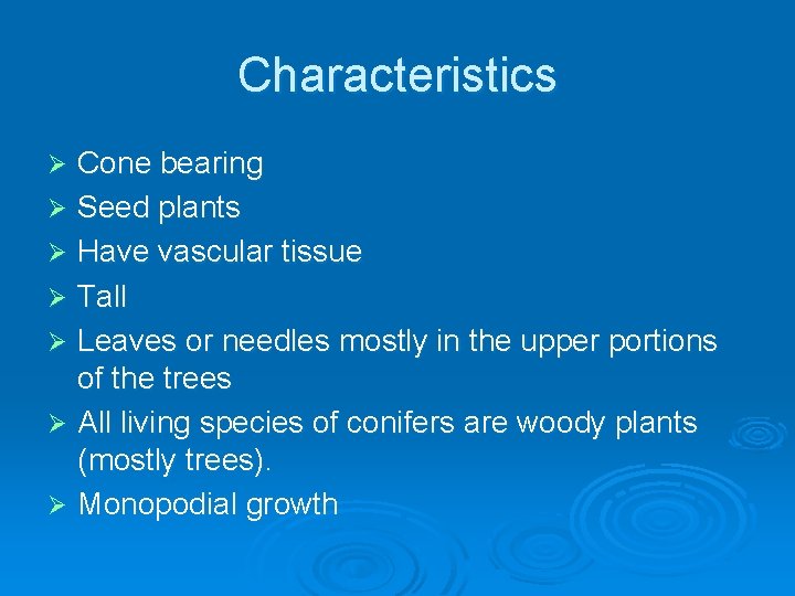 Characteristics Cone bearing Ø Seed plants Ø Have vascular tissue Ø Tall Ø Leaves