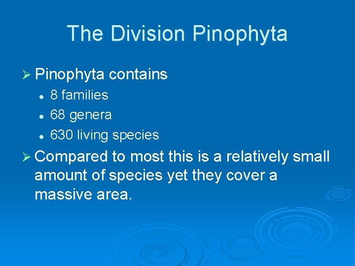 The Division Pinophyta Ø Pinophyta contains l l l 8 families 68 genera 630