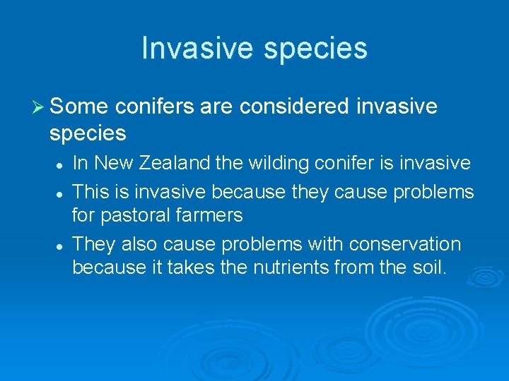 Invasive species Ø Some conifers are considered invasive species l l l In New