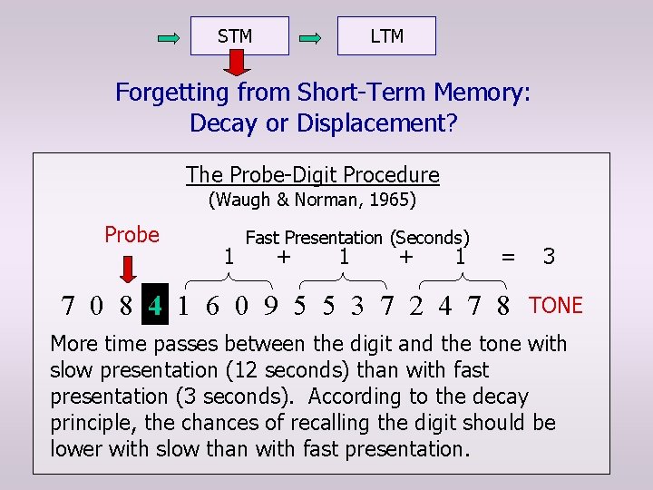 STM LTM Forgetting from Short-Term Memory: Decay or Displacement? The Probe-Digit Procedure (Waugh &