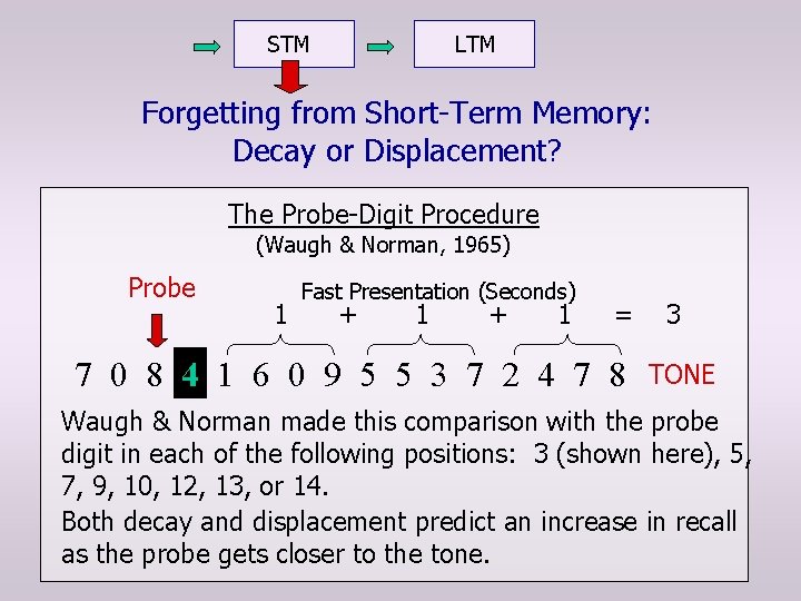 STM LTM Forgetting from Short-Term Memory: Decay or Displacement? The Probe-Digit Procedure (Waugh &