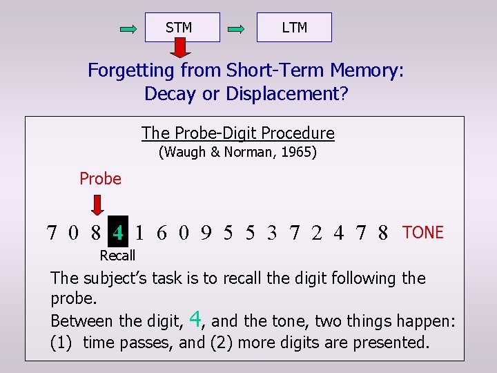 STM LTM Forgetting from Short-Term Memory: Decay or Displacement? The Probe-Digit Procedure (Waugh &