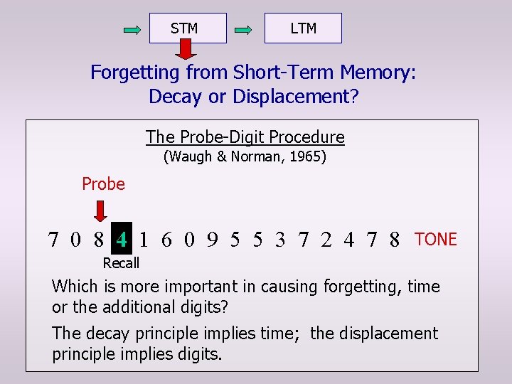 STM LTM Forgetting from Short-Term Memory: Decay or Displacement? The Probe-Digit Procedure (Waugh &