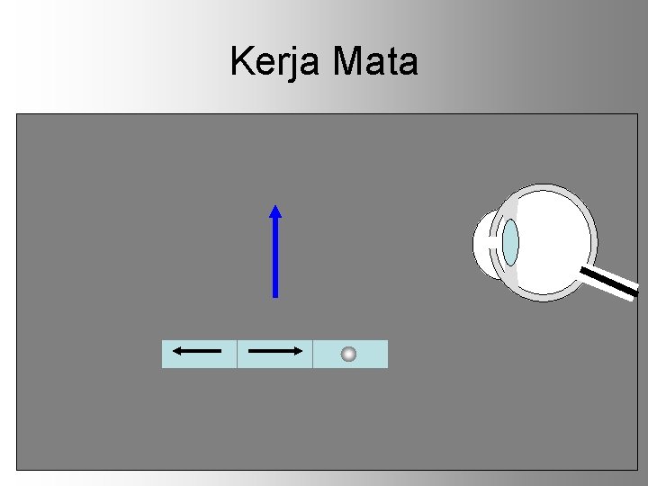 Kerja Mata 