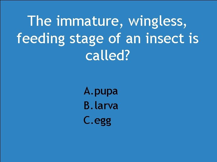 The immature, wingless, feeding stage of an insect is called? A. pupa B. larva The immature, wingless, feeding stage of an insect is called? A. pupa B. larva
