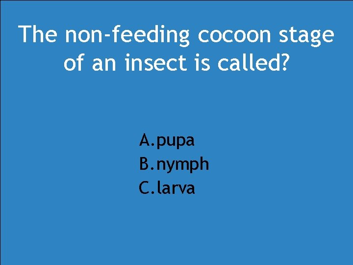 The non-feeding cocoon stage of an insect is called? A. pupa B. nymph C. The non-feeding cocoon stage of an insect is called? A. pupa B. nymph C.