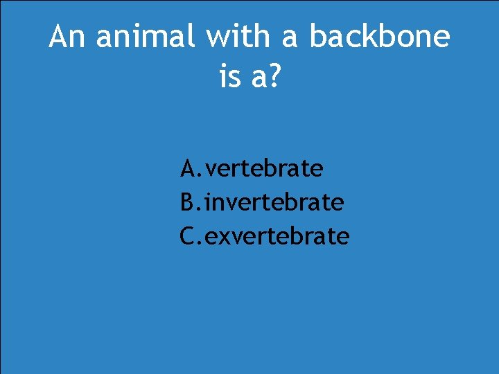 An animal with a backbone is a? A. vertebrate B. invertebrate C. exvertebrate An animal with a backbone is a? A. vertebrate B. invertebrate C. exvertebrate