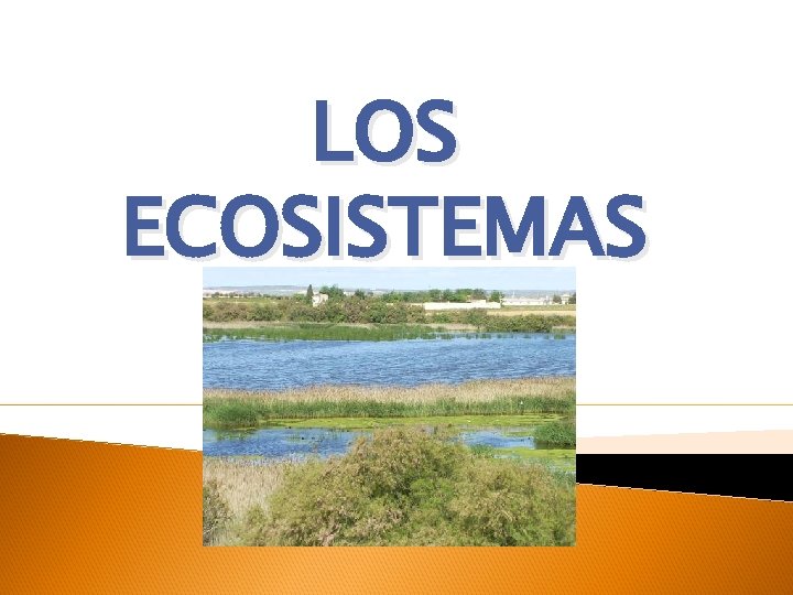 LOS ECOSISTEMAS 