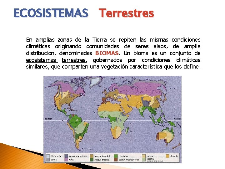 ECOSISTEMAS Terrestres En amplias zonas de la Tierra se repiten las mismas condiciones climáticas