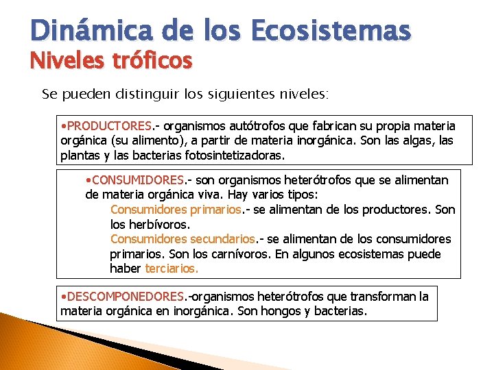 Dinámica de los Ecosistemas Niveles tróficos Se pueden distinguir los siguientes niveles: • PRODUCTORES.