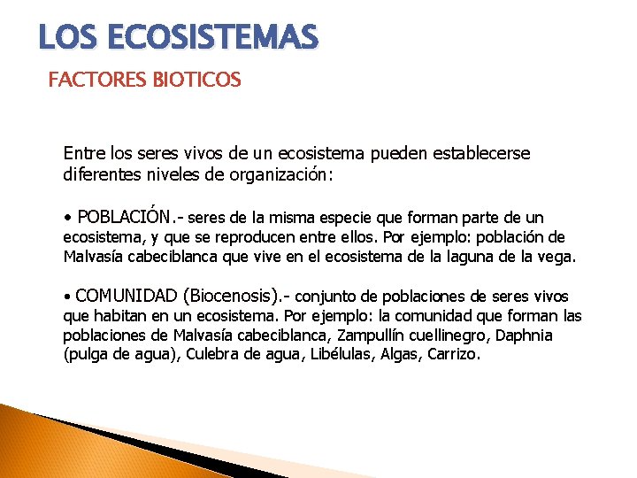 LOS ECOSISTEMAS FACTORES BIOTICOS Entre los seres vivos de un ecosistema pueden establecerse diferentes