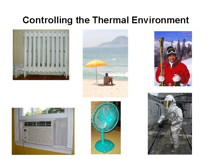 Controlling the Thermal Environment 