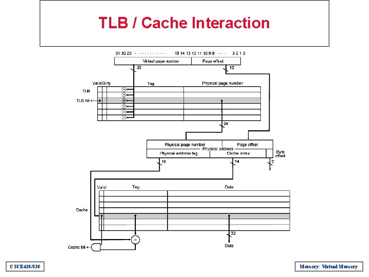 TLB / Cache Interaction CSCE 430/830 Memory: Virtual Memory 