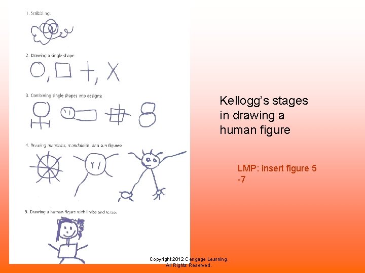 Kellogg’s stages in drawing a human figure LMP: insert figure 5 -7 Copyright 2012