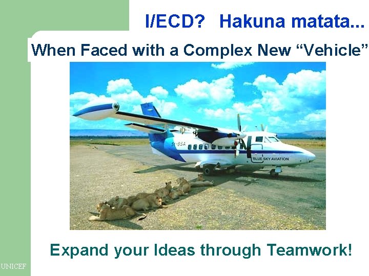 I/ECD? Hakuna matata. . . When Faced with a Complex New “Vehicle” Expand your I/ECD? Hakuna matata. . . When Faced with a Complex New “Vehicle” Expand your