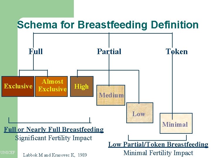 Schema for Breastfeeding Definition Full Almost Exclusive Partial Token High Medium Low Full or Schema for Breastfeeding Definition Full Almost Exclusive Partial Token High Medium Low Full or