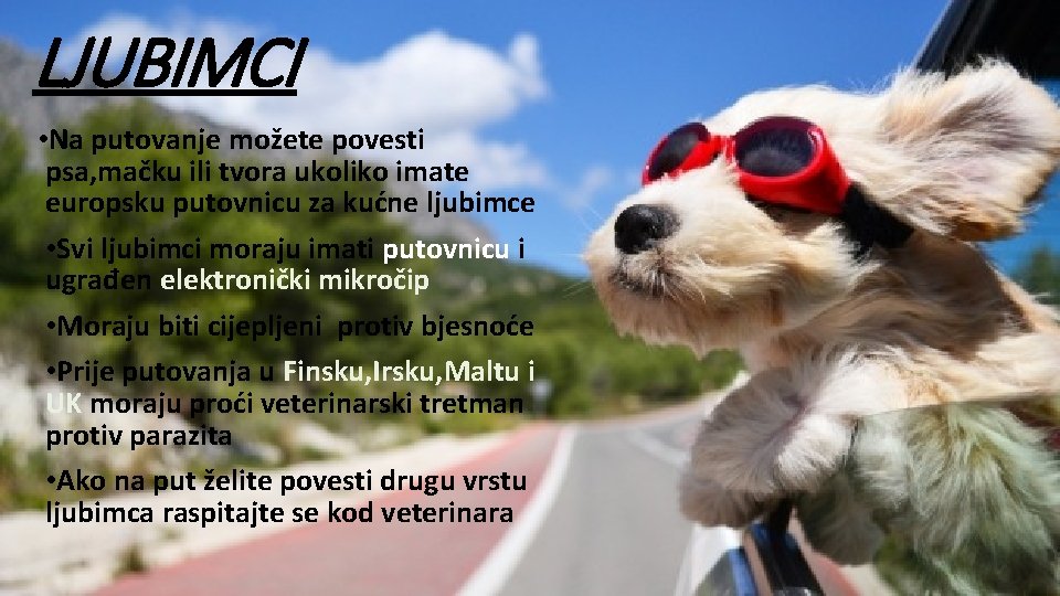 LJUBIMCI • Na putovanje možete povesti psa, mačku ili tvora ukoliko imate europsku putovnicu