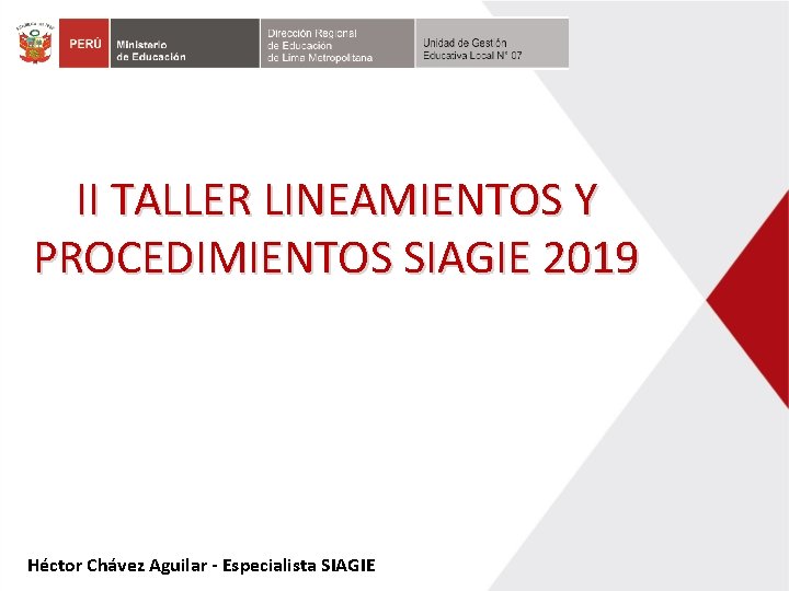 II TALLER LINEAMIENTOS Y PROCEDIMIENTOS SIAGIE 2019 Héctor Chávez Aguilar - Especialista SIAGIE 