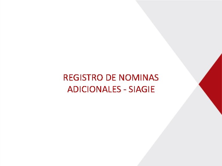 REGISTRO DE NOMINAS ADICIONALES - SIAGIE 