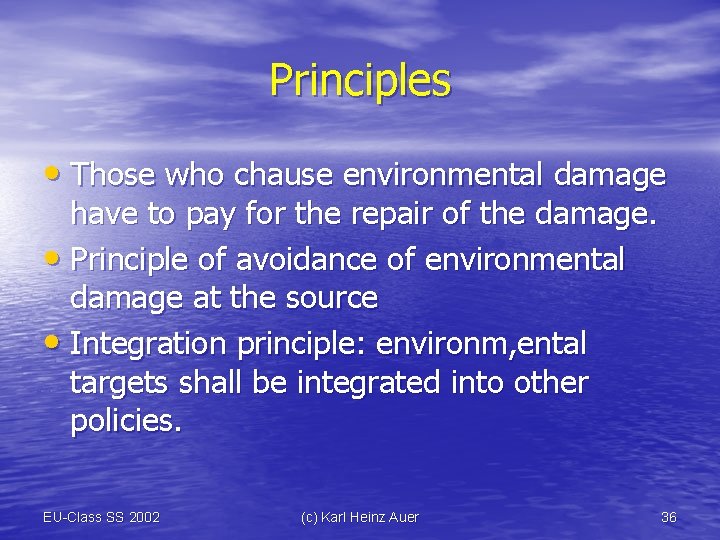 Principles • Those who chause environmental damage have to pay for the repair of