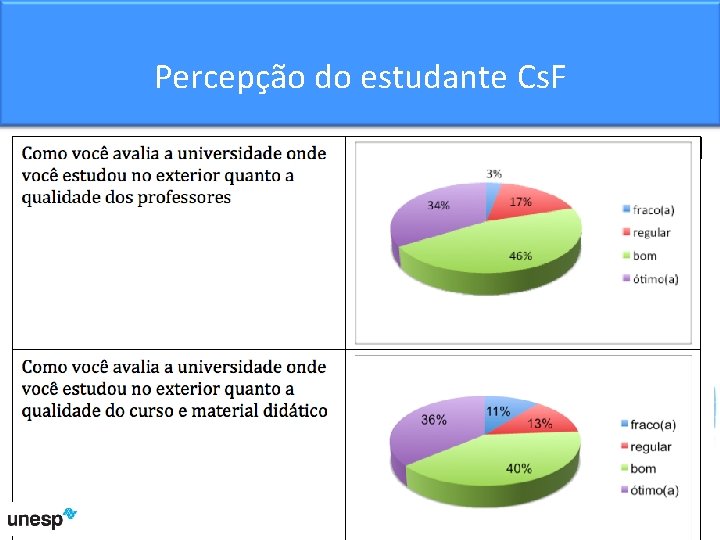 Percepção do estudante Cs. F 17 
