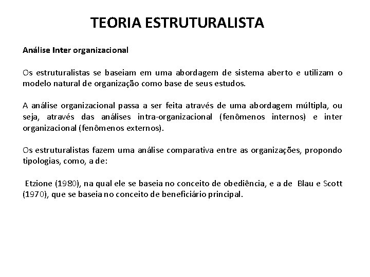 TEORIA ESTRUTURALISTA Análise Inter organizacional Os estruturalistas se baseiam em uma abordagem de sistema