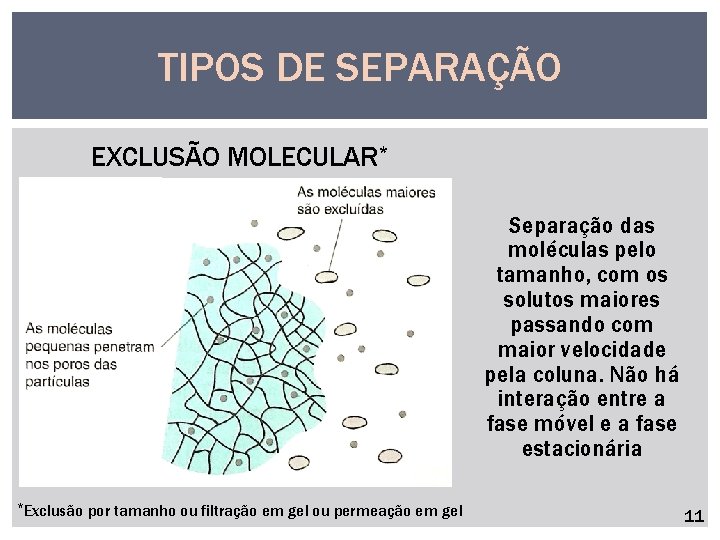 TIPOS DE SEPARAÇÃO EXCLUSÃO MOLECULAR* Separação das moléculas pelo tamanho, com os solutos maiores