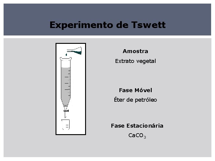 Experimento de Tswett Amostra Extrato vegetal Fase Móvel Éter de petróleo Fase Estacionária Ca.