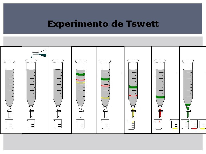 Experimento de Tswett 