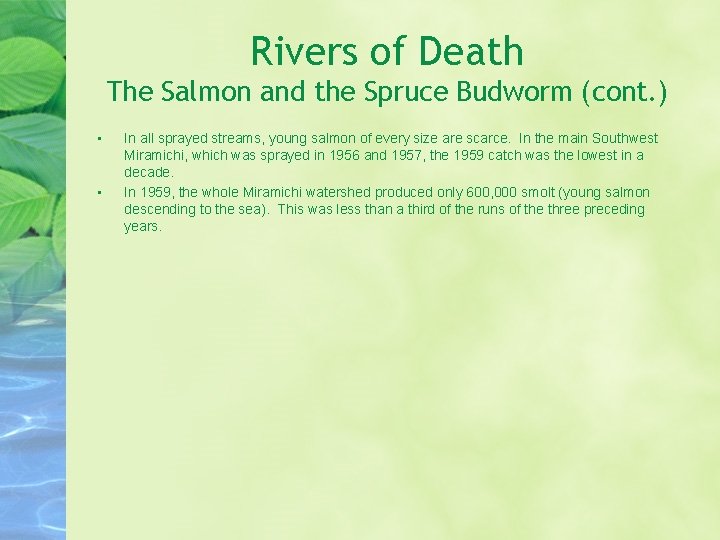 Rivers of Death The Salmon and the Spruce Budworm (cont. ) • • In