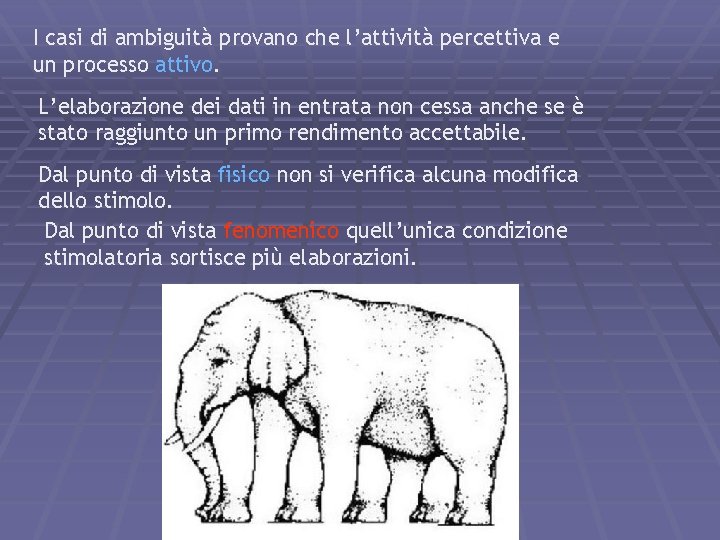 I casi di ambiguità provano che l’attività percettiva e un processo attivo. L’elaborazione dei