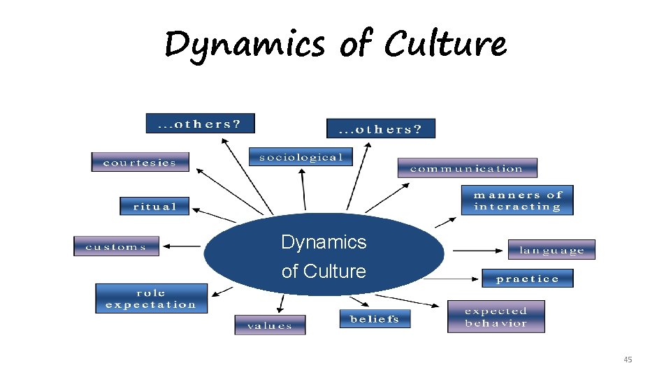 Dynamics of Culture 45 