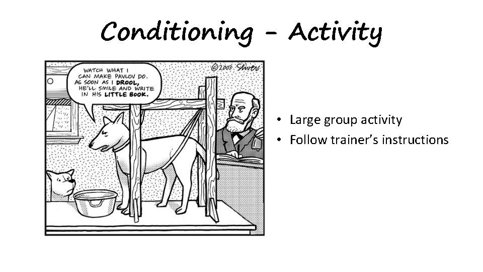 Conditioning - Activity • Large group activity • Follow trainer’s instructions 