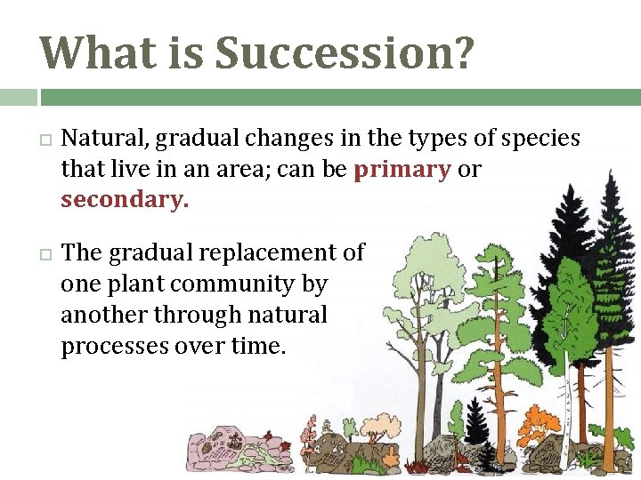 What is Succession? Natural, gradual changes in the types of species that live in What is Succession? Natural, gradual changes in the types of species that live in