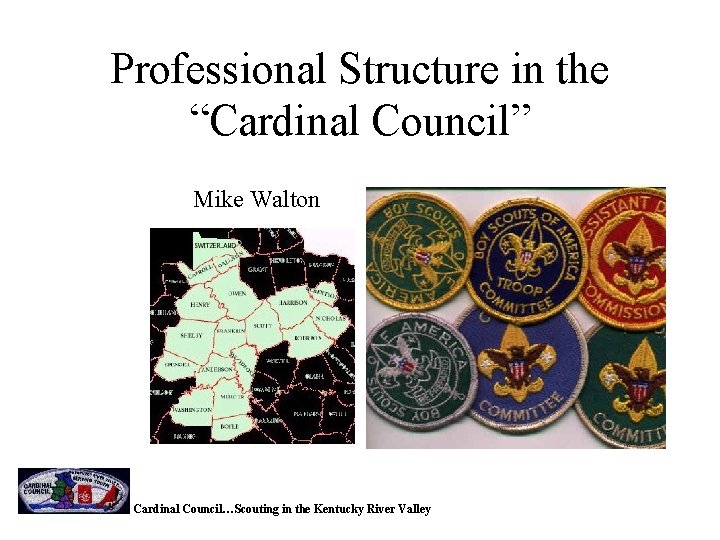 Professional Structure in the Cardinal Council Mike Walton