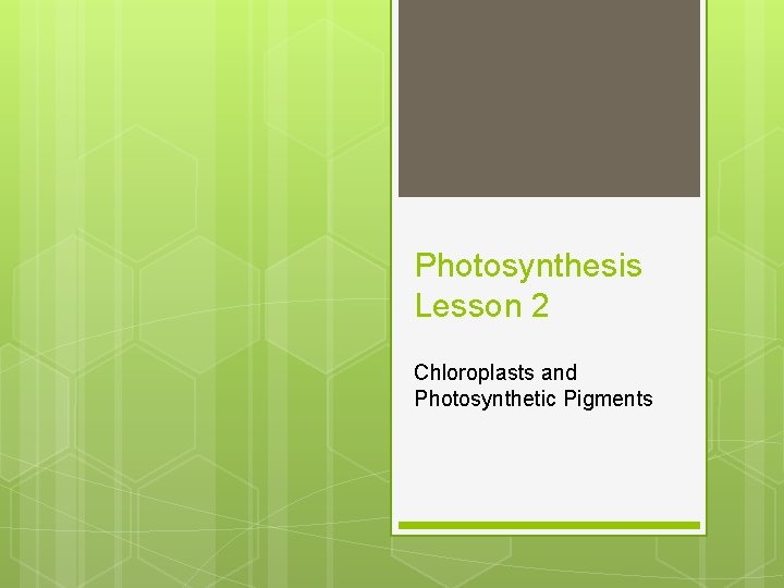 Photosynthesis Lesson 2 Chloroplasts and Photosynthetic Pigments 