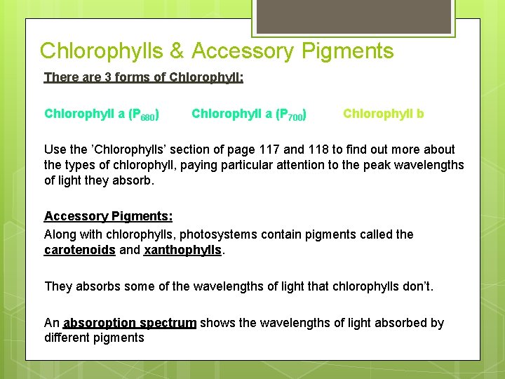 Chlorophylls & Accessory Pigments There are 3 forms of Chlorophyll: Chlorophyll a (P 680)