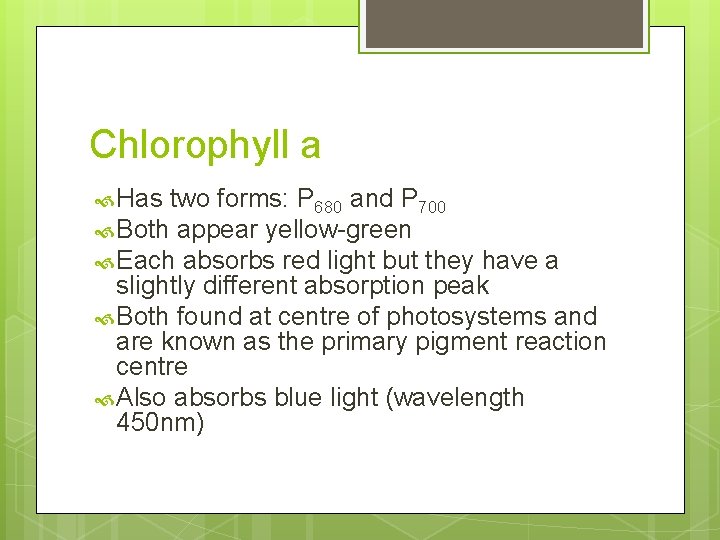 Chlorophyll a Has two forms: P 680 and P 700 Both appear yellow-green Each