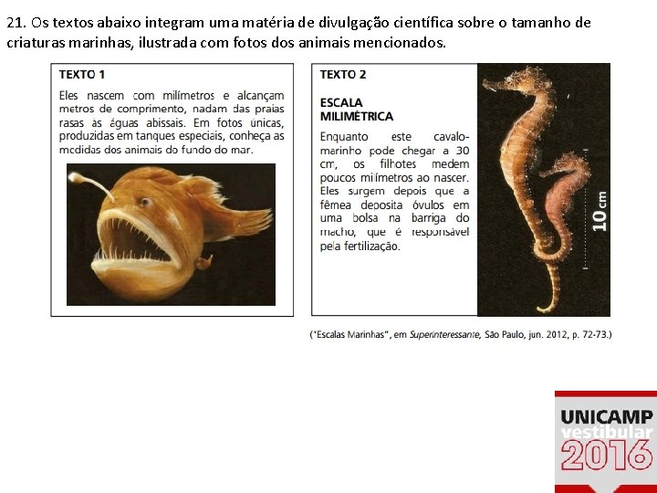 21. Os textos abaixo integram uma matéria de divulgação científica sobre o tamanho de 21. Os textos abaixo integram uma matéria de divulgação científica sobre o tamanho de