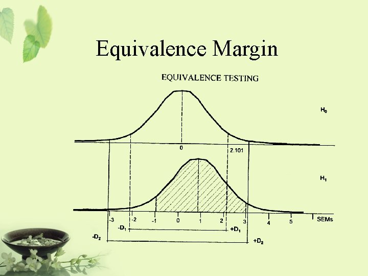 Equivalence Margin 