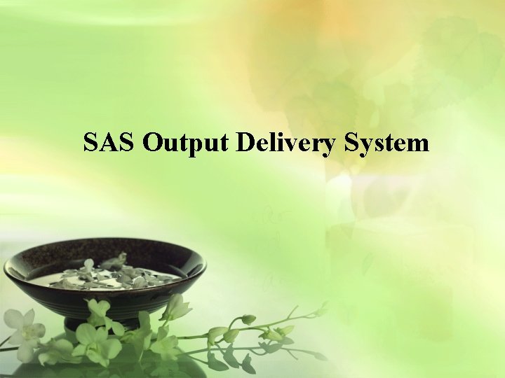 SAS Output Delivery System 