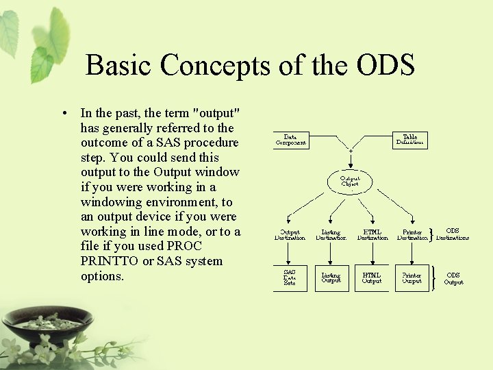 Basic Concepts of the ODS • In the past, the term "output" has generally