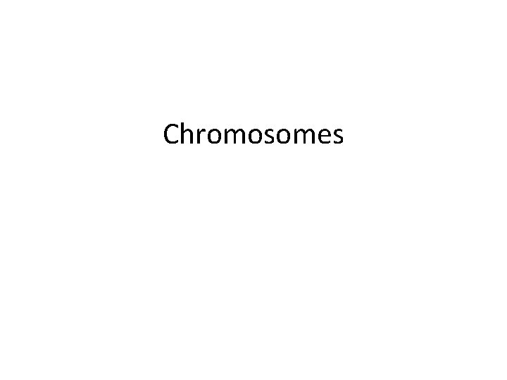 Chromosomes Chromosomes