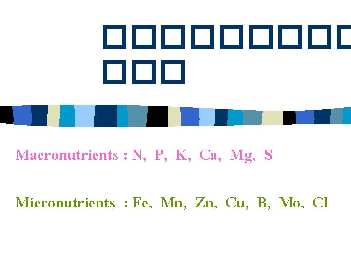 ����� ��� Macronutrients : N, P, K, Ca, Mg, S Micronutrients : Fe, Mn,