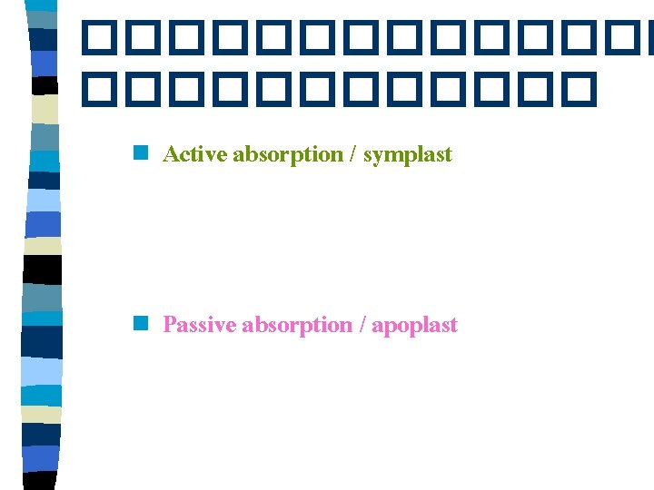 ������� n Active absorption / symplast n Passive absorption / apoplast 