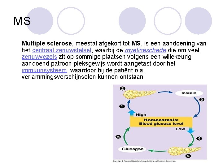 MS Multiple sclerose, meestal afgekort tot MS, is een aandoening van het centraal zenuwstelsel, MS Multiple sclerose, meestal afgekort tot MS, is een aandoening van het centraal zenuwstelsel,