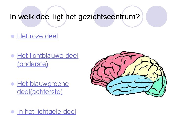 In welk deel ligt het gezichtscentrum? l Het roze deel l Het lichtblauwe deel