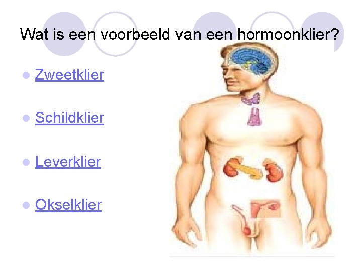 Wat is een voorbeeld van een hormoonklier? l Zweetklier l Schildklier l Leverklier l