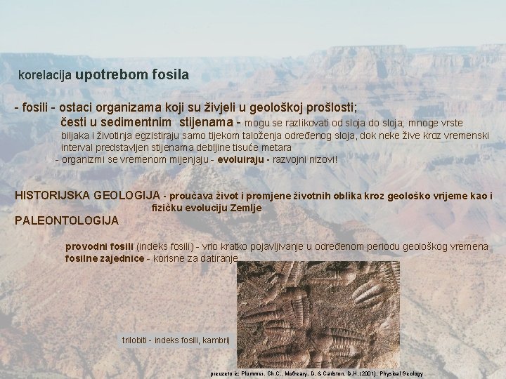 korelacija upotrebom fosila - fosili - ostaci organizama koji su živjeli u geološkoj prošlosti; korelacija upotrebom fosila - fosili - ostaci organizama koji su živjeli u geološkoj prošlosti;